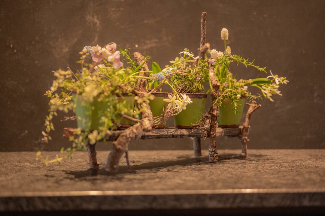 Sonstiges Hotel Thurnerhof