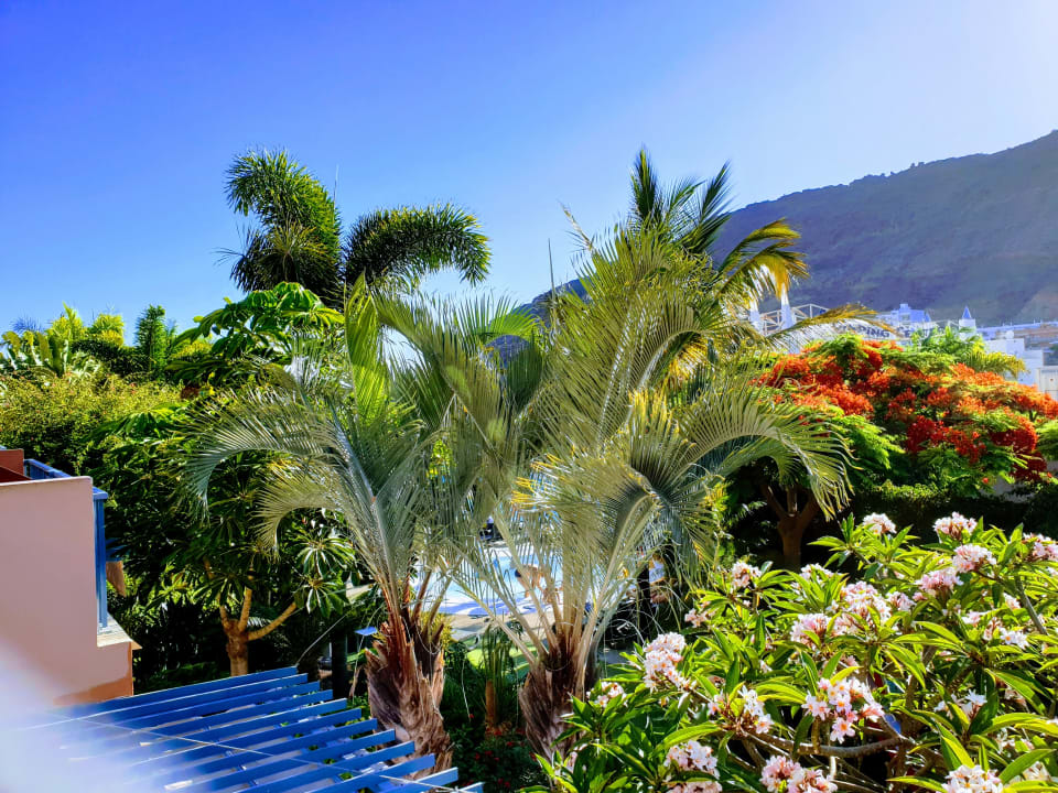 Ausblick Apartamentos Cordial Mogán Valle