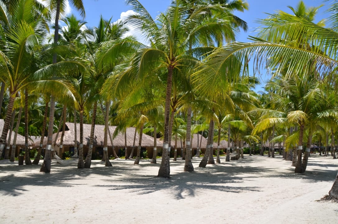 Strand South Palms Resort Panglao