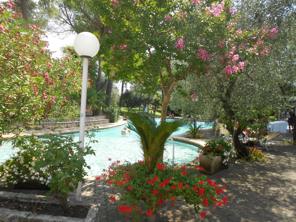 Pool 1 vorm Hotel Hotel Marco Polo