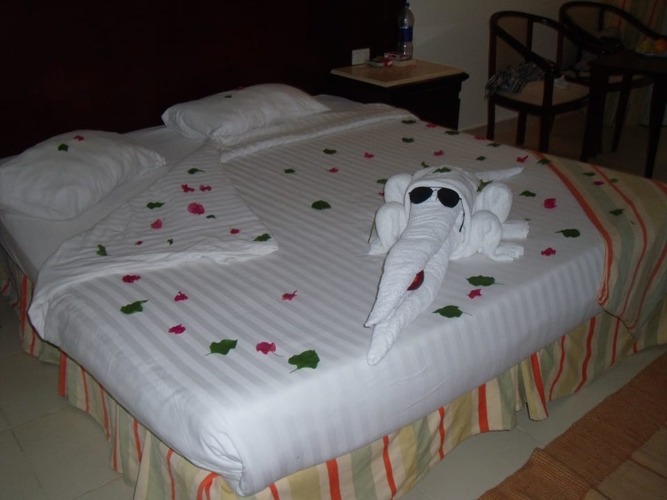 Handtuchtierchen Serenity Alpha Beach