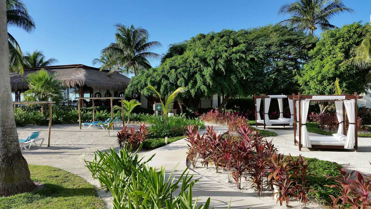 Palmengarten mit Liegen Akumal Bay Beach & Wellness Resort