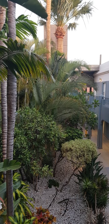 Gartenanlage Adrián Hoteles Colón Guanahaní - Adults only