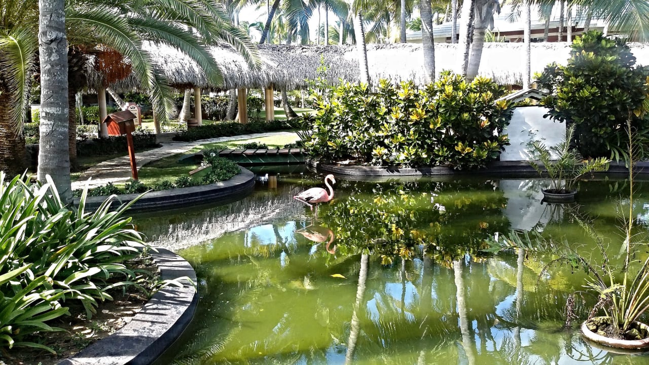 Gartenteich Grand Palladium Select Bávaro Resort & Spa