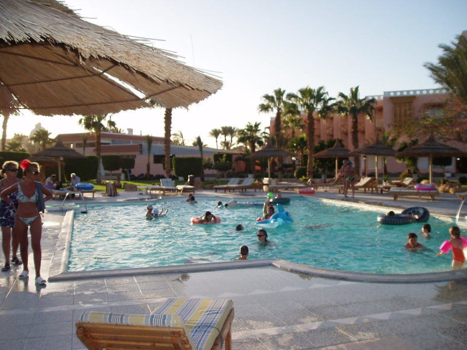 Der beheizte Pool Beach Albatros Resort