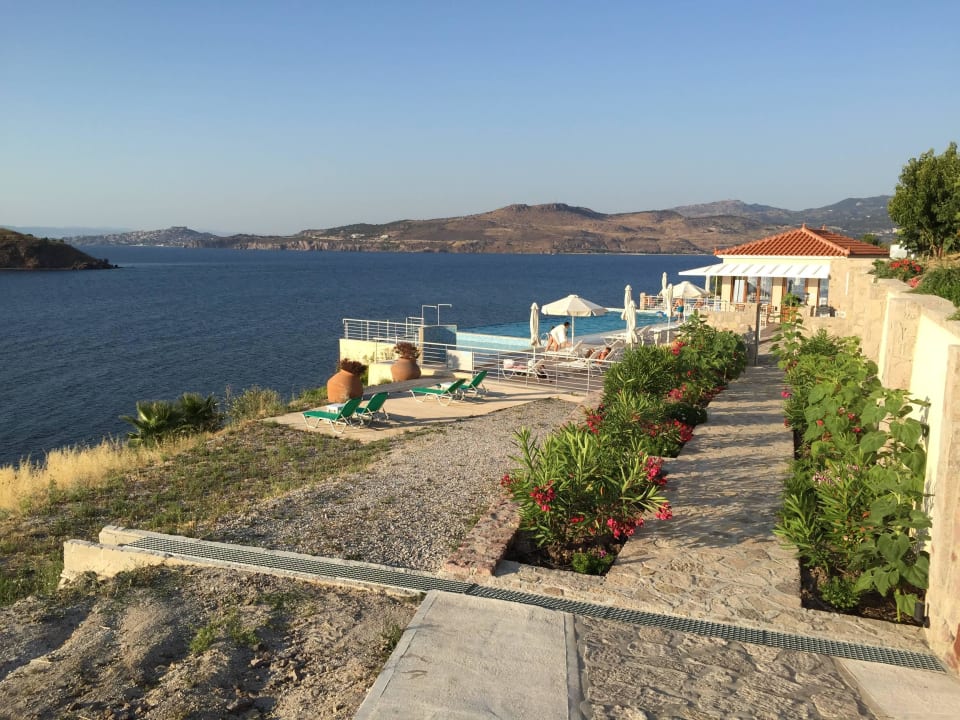 Blick zum Pool mit Poolhaus Guesthouse Birds Bay