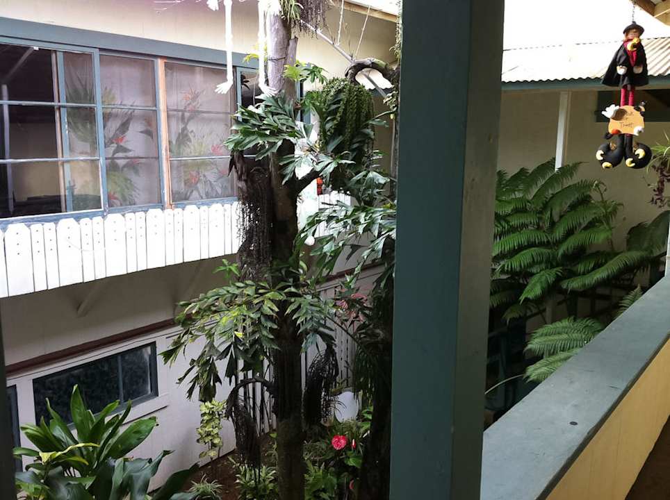 Honoka´a Club, Big Island, Hawaii Hotel Honokaa Club