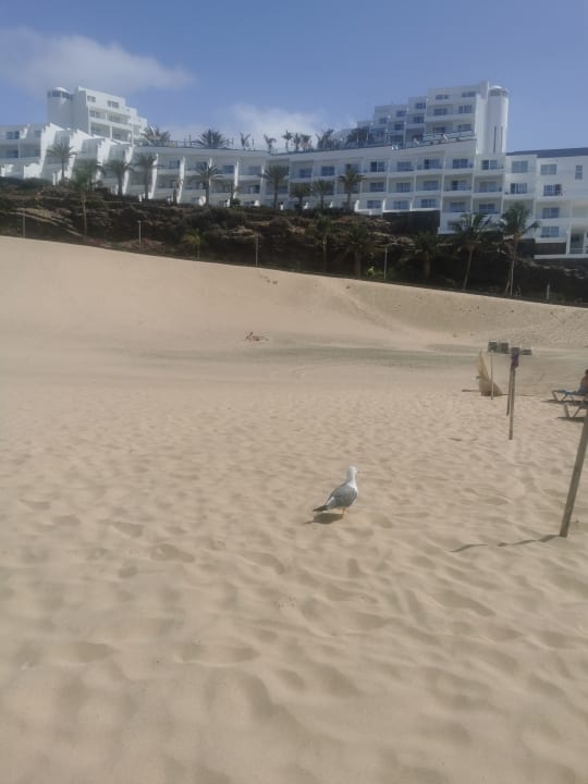 Strand Hotel Riu Palace Jandia