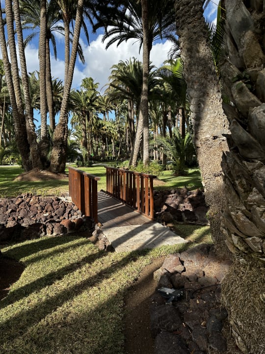 Gartenanlage Hotel Riu Palace Oasis