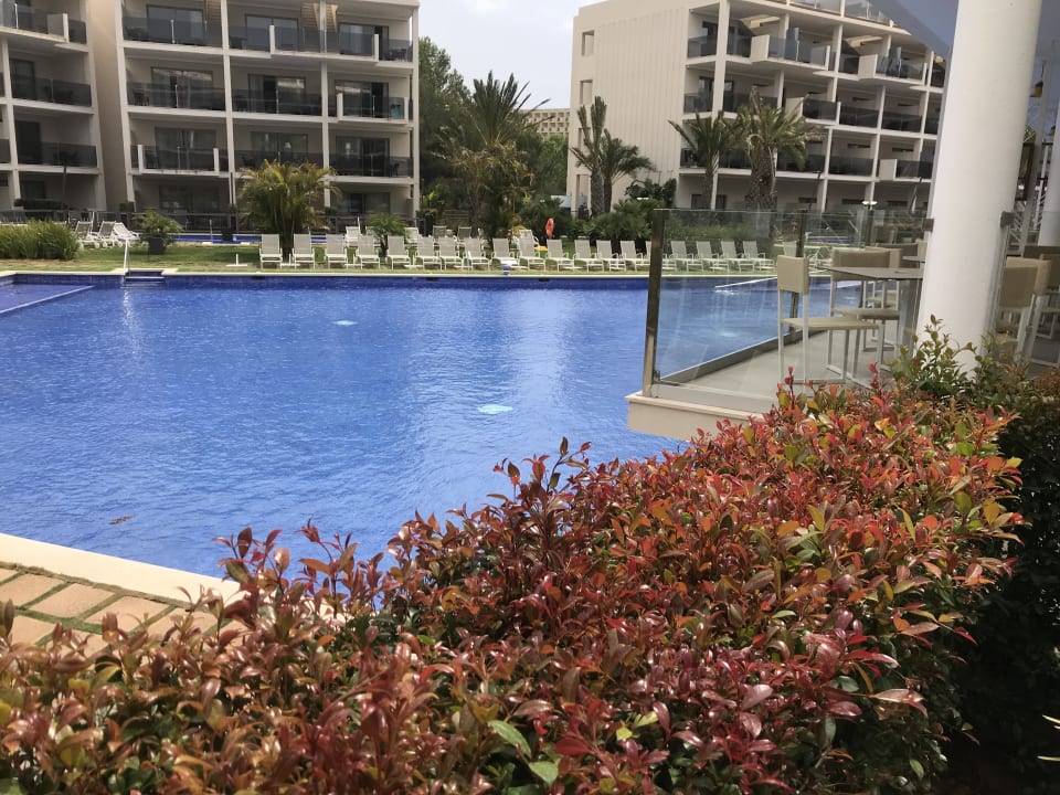 Pool Zafiro Palace Palmanova