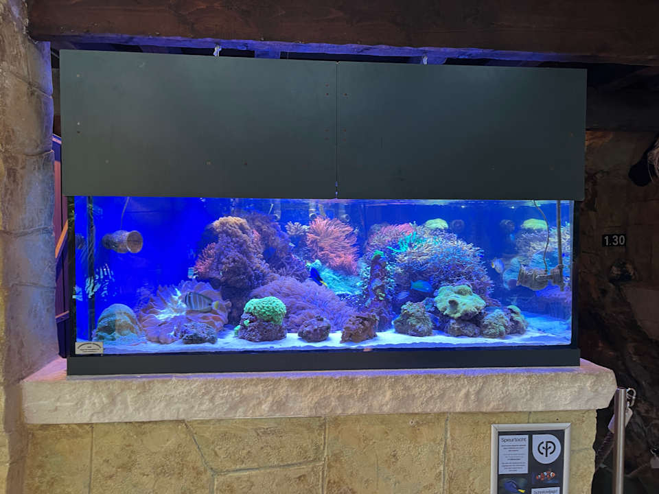 Pool Center Parcs Het Heijderbos