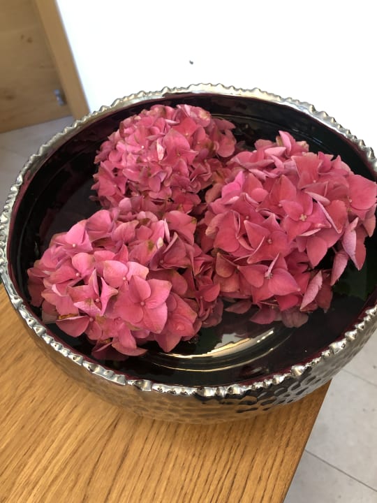 Lobby Mountain Resort M&M