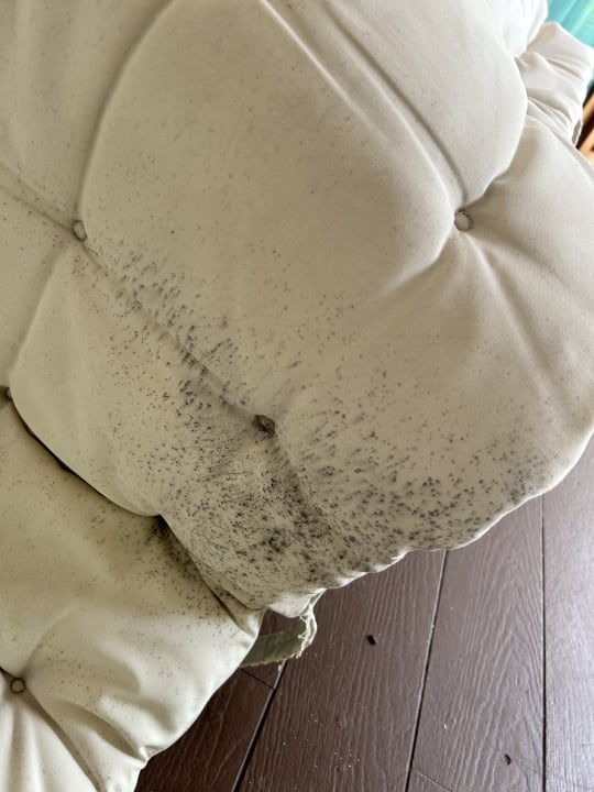 Zimmer Kihaa Maldives