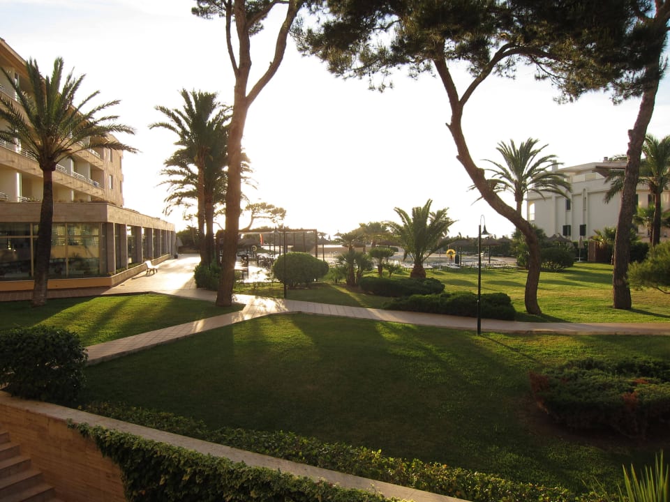 Morgens - der Blick auf die Anlage Grupotel Natura Playa