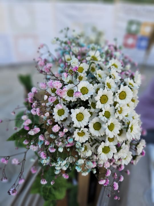 Sonstiges Ferienanlage Vierjahreszeiten