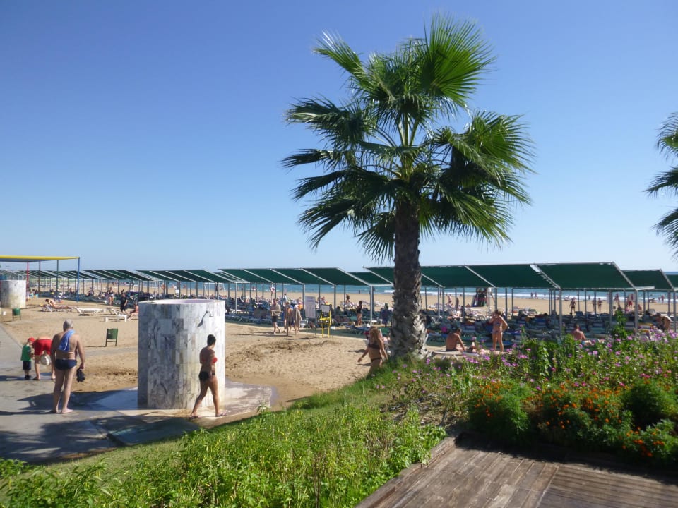 Aussicht von Strandbar an den Strand VONRESORT Golden Beach