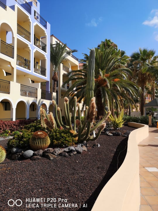 Gartenanlage Bahia Principe Sunlight Costa Adeje