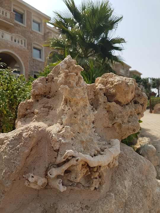 Sonstiges Pickalbatros Citadel Resort