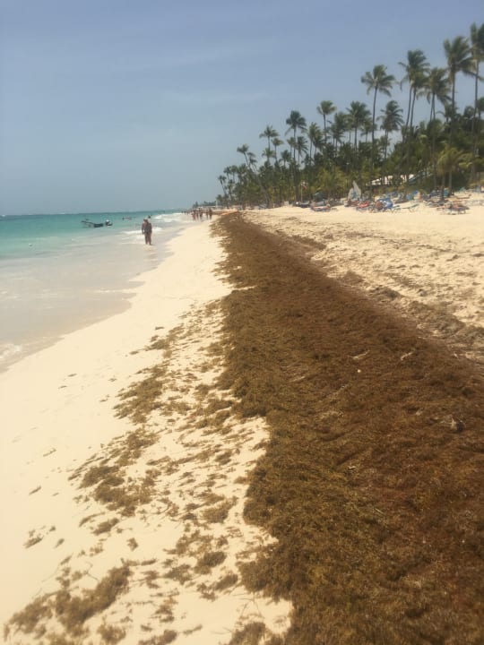 Strand Hotel Riu Palace Macao - Adults only