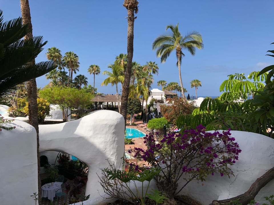 Ausblick Dreams Jardín Tropical