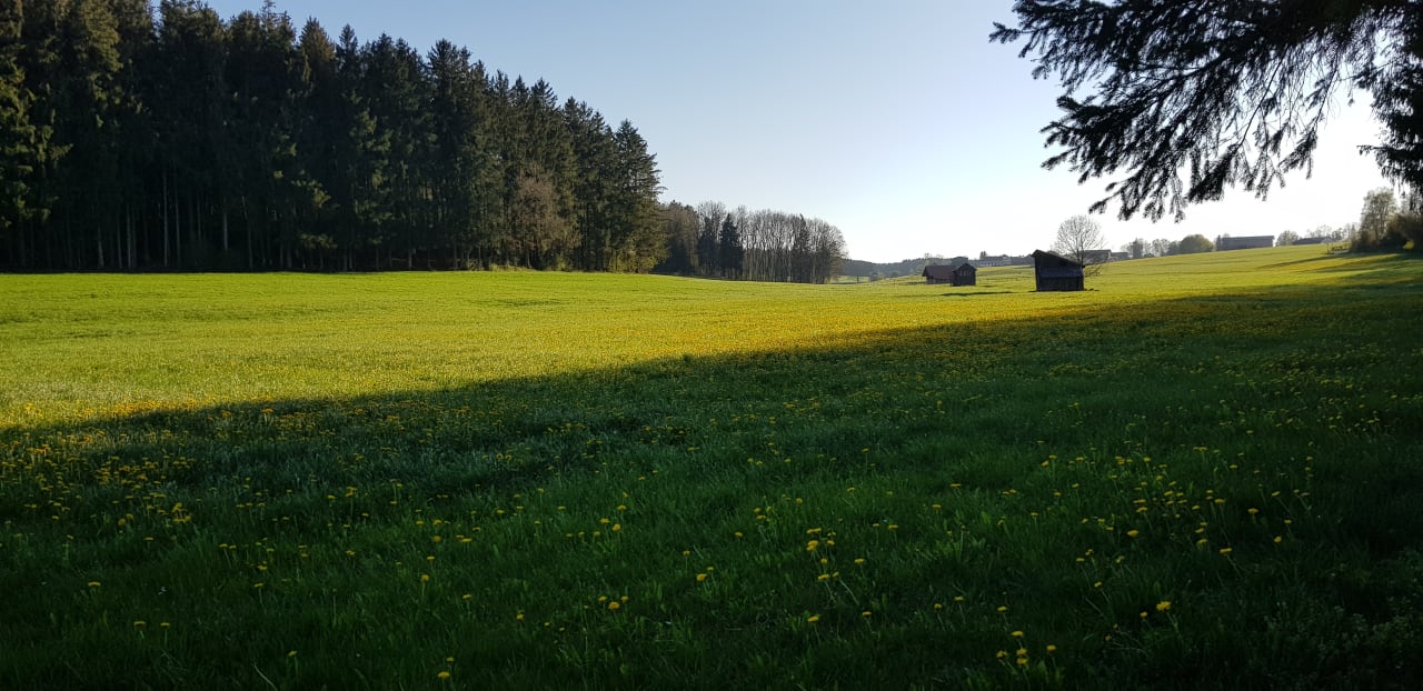 Ausblick Vitalhotel Sonneck