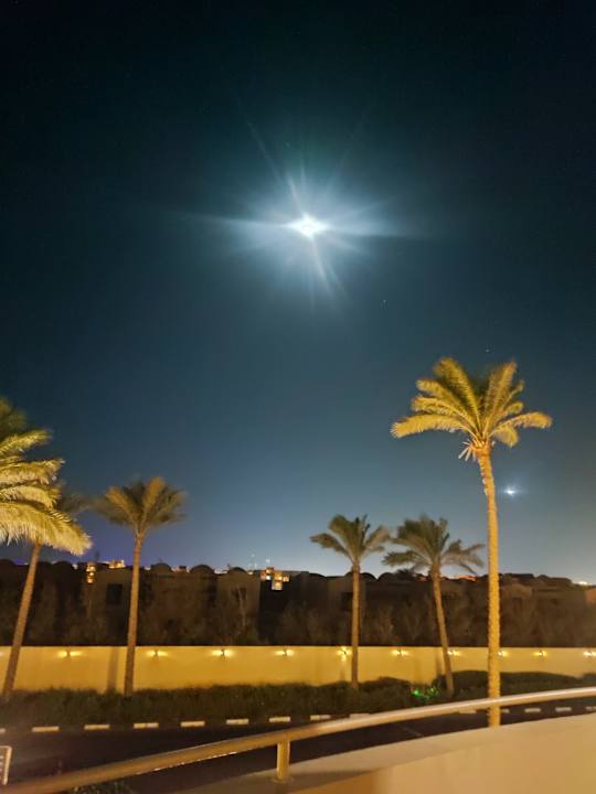Ausblick Barceló Tiran Sharm