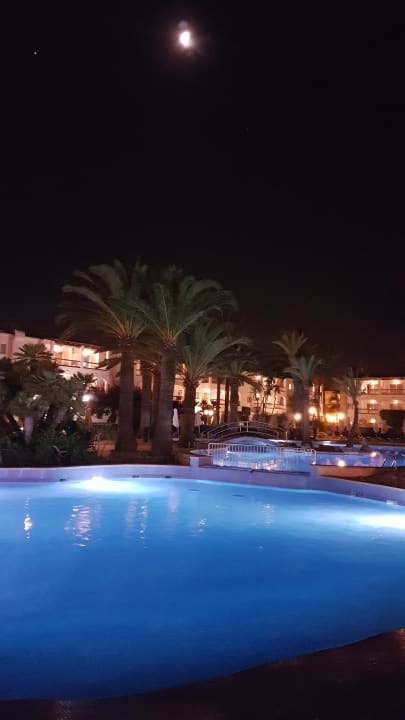 Pool Alcudia Garden Aparthotel