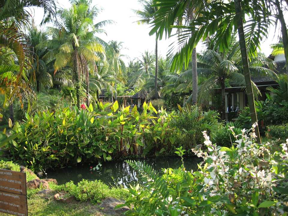 Üppige Vegetation ROBINSON KHAO LAK
