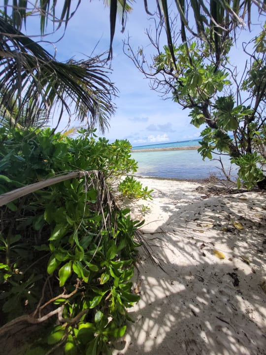 Außenansicht Kuredu Island Resort & Spa