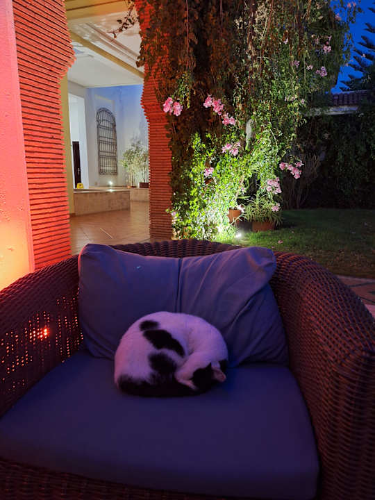 Gartenanlage ROBINSON AGADIR