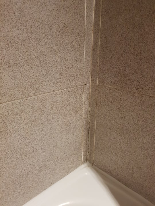 Zimmer Melia La Palma Hotel