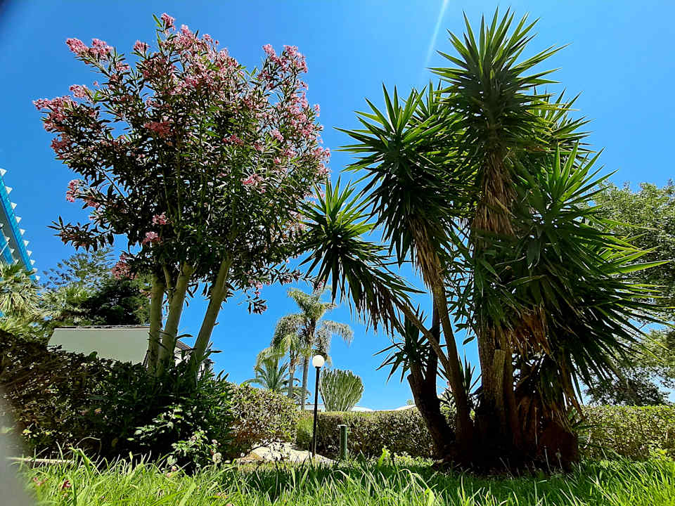 Gartenanlage Hotel Calypso Beach