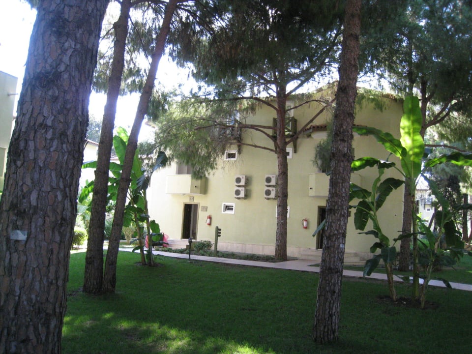 10 Crystal Flora Pearl Collection