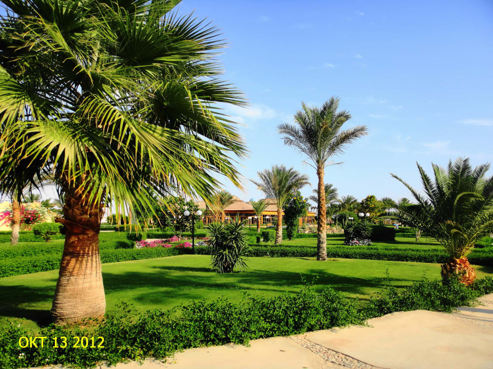 Пейзаж Desert Rose