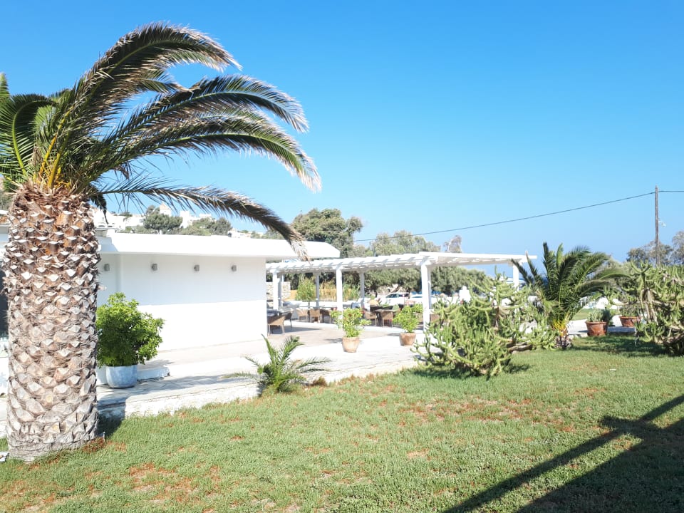 Gartenanlage Aphrodite Beach Resort Hotel