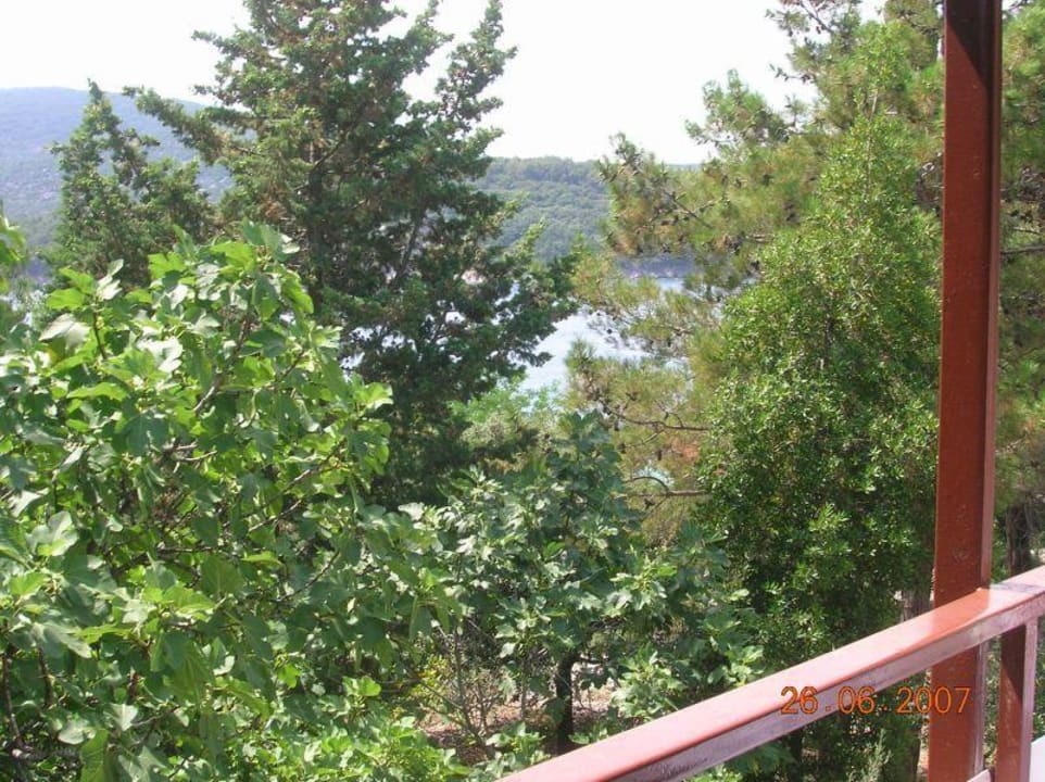 Depadance - widok z balkonu Hotel Kimen