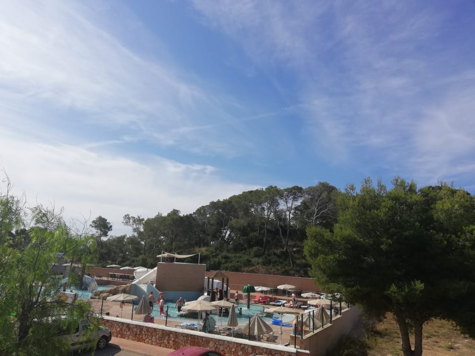 Pool Calimera Fido Gardens