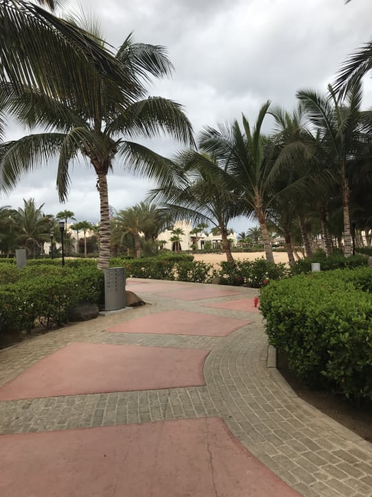 Gartenanlage Hotel Riu Karamboa