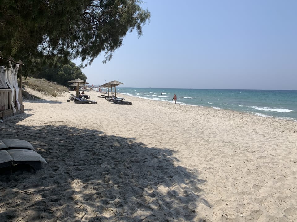 Außenansicht TUI BLUE Palazzo del Mare