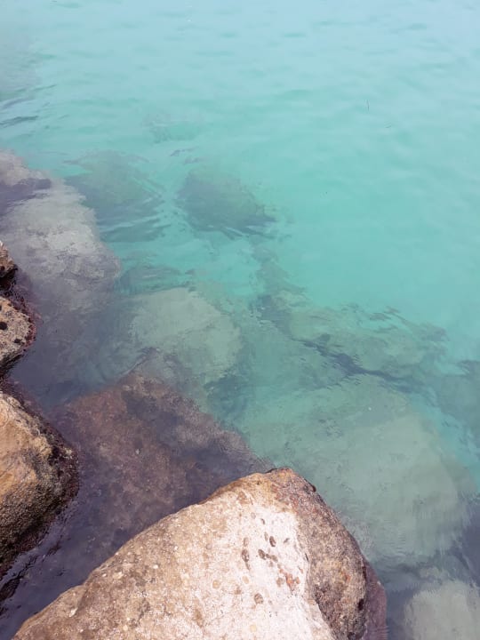 Strand Iberostar Waves Playa de Muro