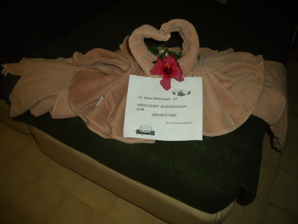 Handtücher als Schwäne Relaxia Olivina