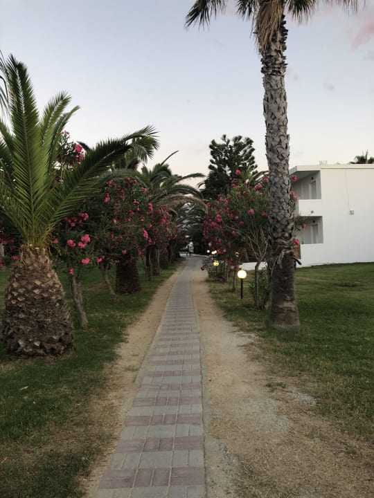 Außenansicht HARPIN Happy Days Beach Hotel