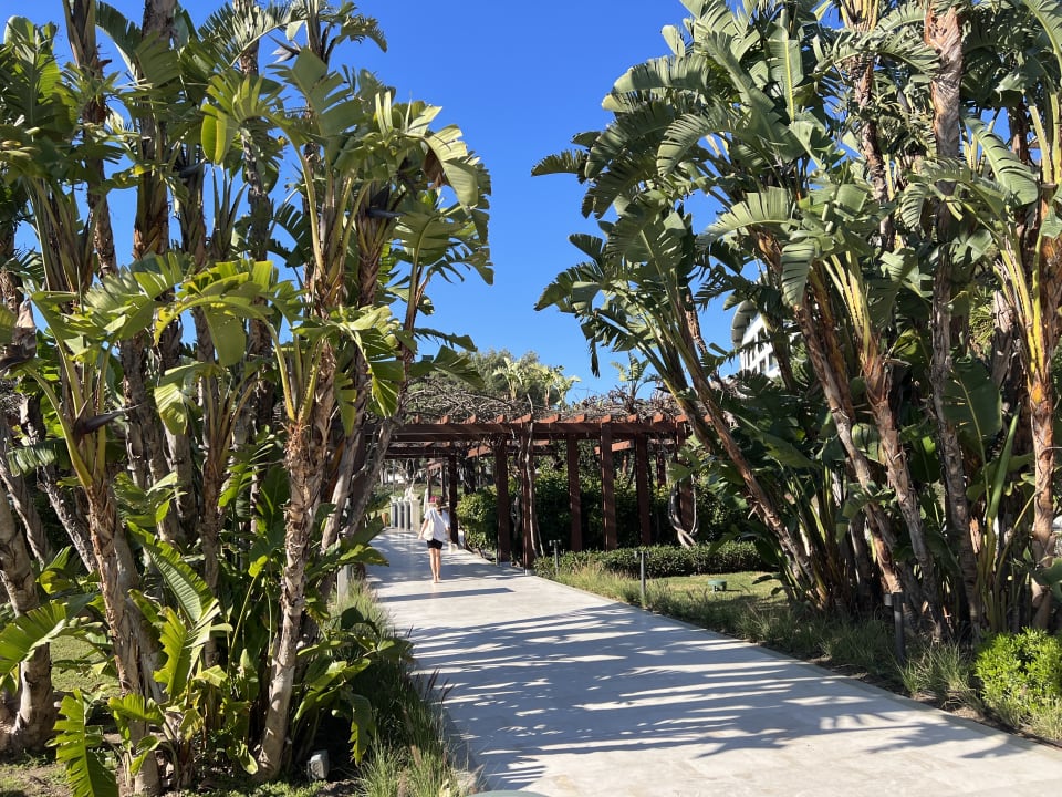 Gartenanlage Ela Excellence Resort Belek