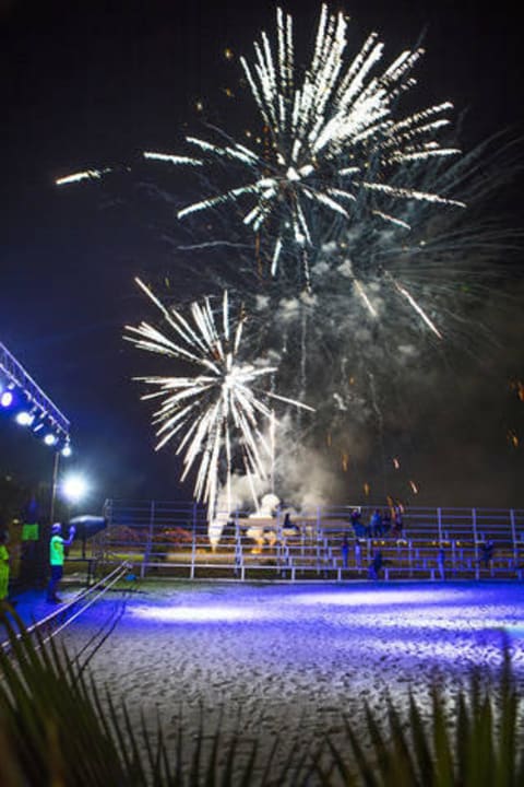 Animation show  Selge Beach Resort