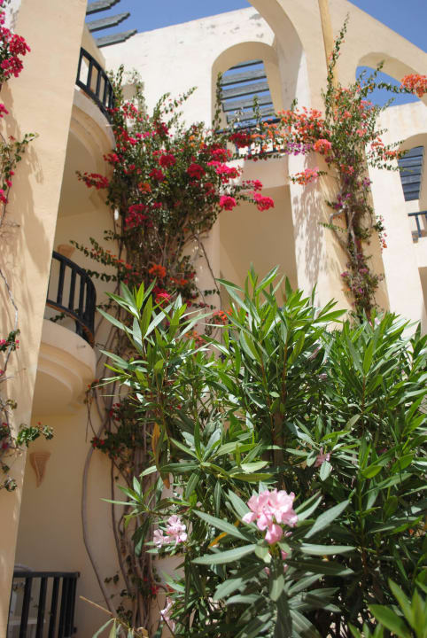 Les extérieurs Hotel Eden Star