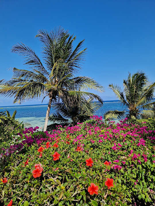 Gartenanlage Bahari Beach Hotel