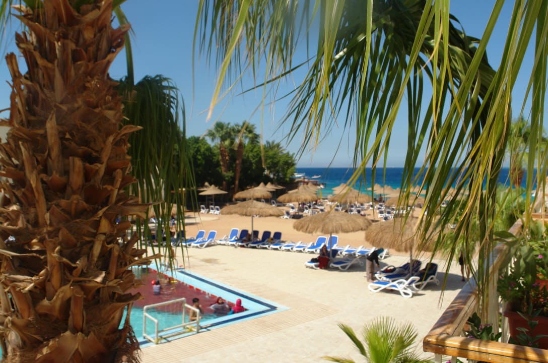 View from Superior Pool View Rooms Hotel Aqua Fun