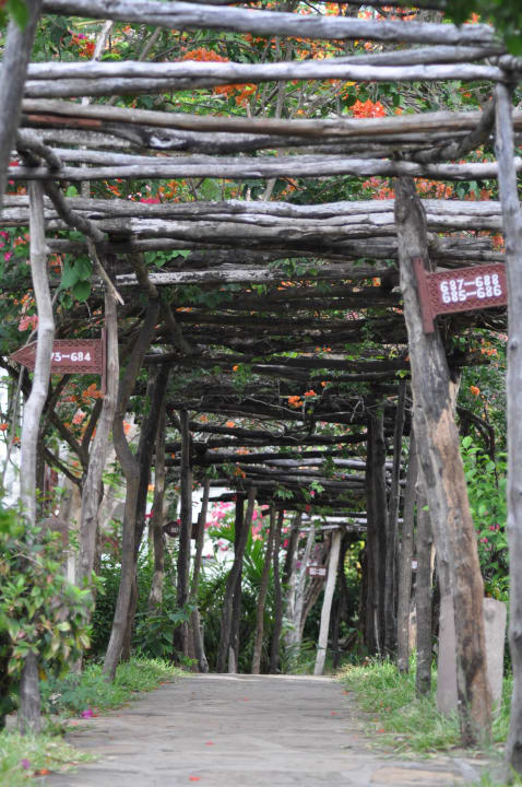 Hotel Neptune Paradise Beach Resort & Spa