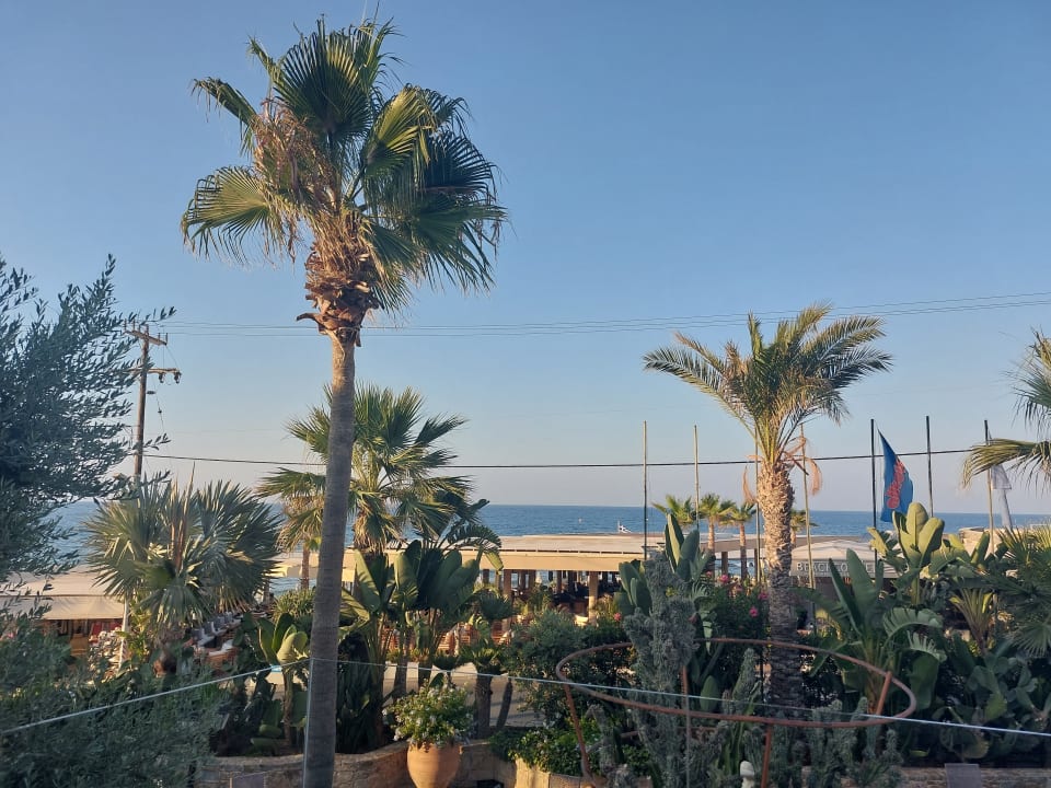 Ausblick Cactus Beach