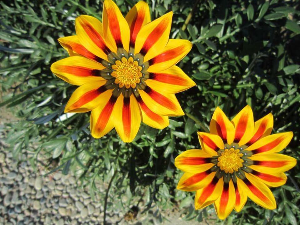 Sonnenanbeter auf der Promenade Sunis Evren Beach Resort Hotel & Spa